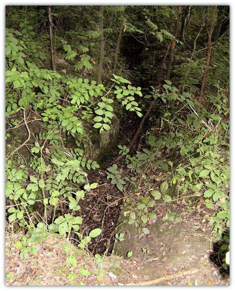 Coal seam