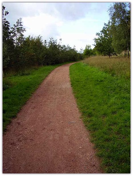 Shale Path 