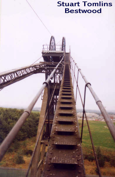 Bestwood