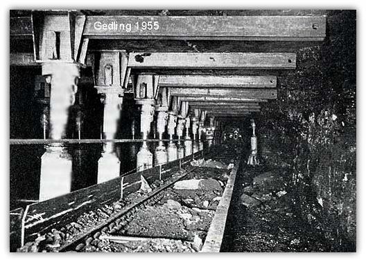 Gedling 1955