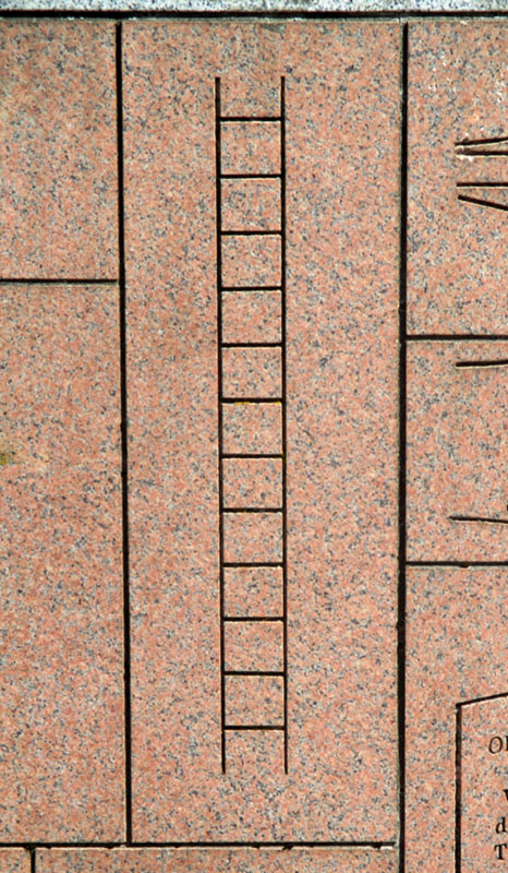 D7