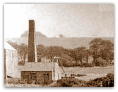 Warren Vale