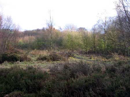 Looking from Railway, shafts are on the right